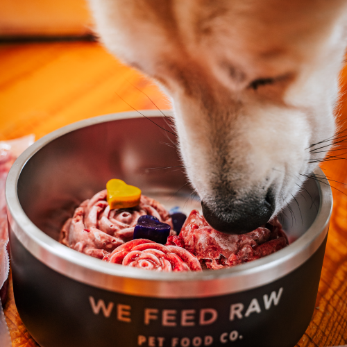 Half kibble best sale half raw diet