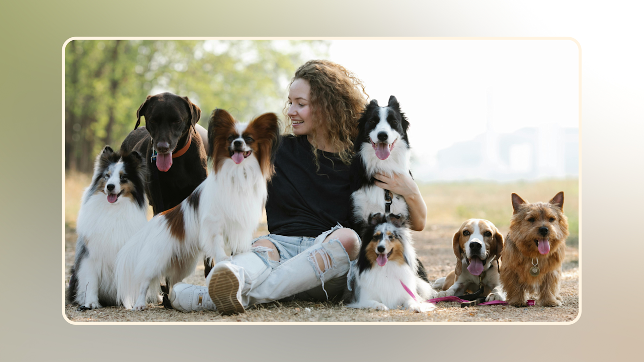 Hero Meet the Most Popular Dog Breeds Across the US v2