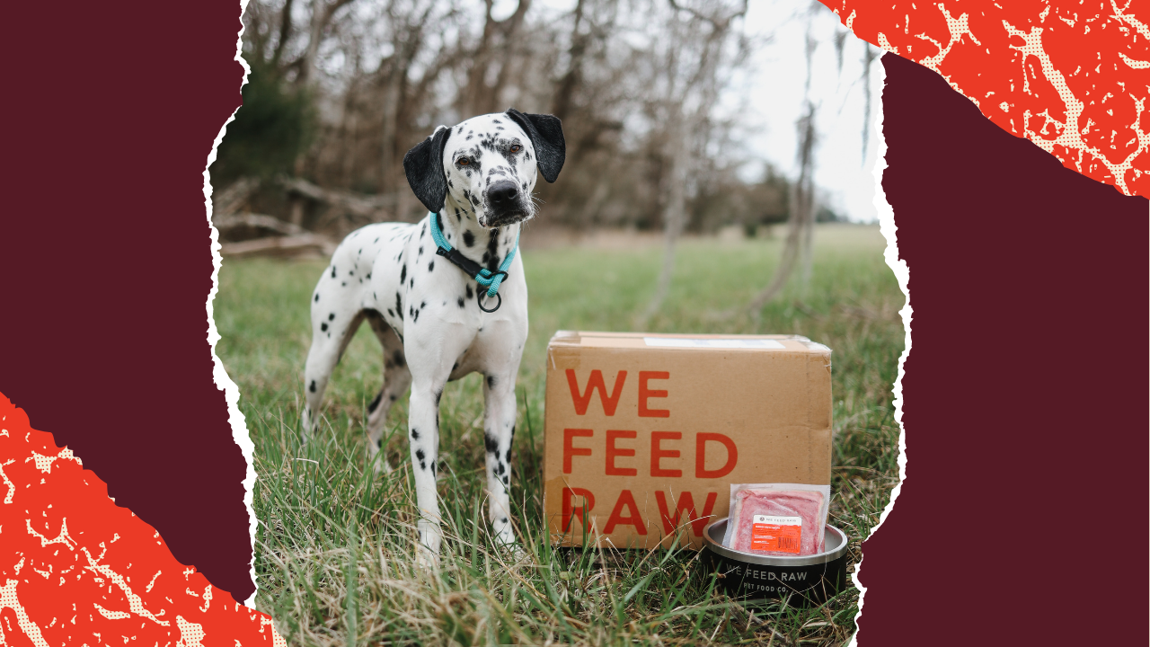 Dog Food Delivery