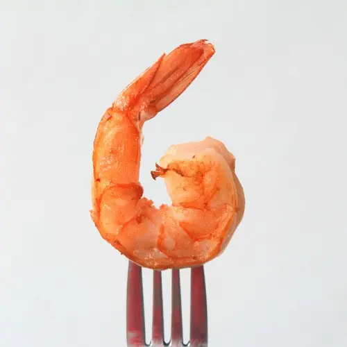 Shrimp