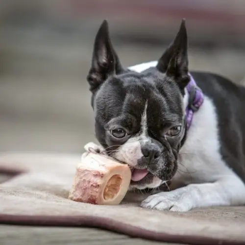Raw Bones
