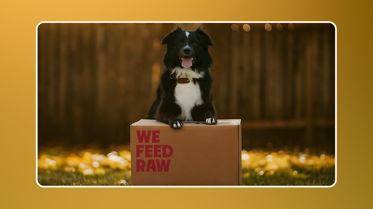 Hero Benefits of Raw Dog Food v3