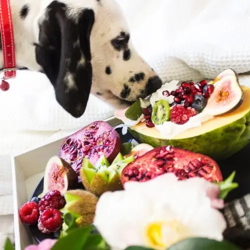 Probiotics and Prebiotics
