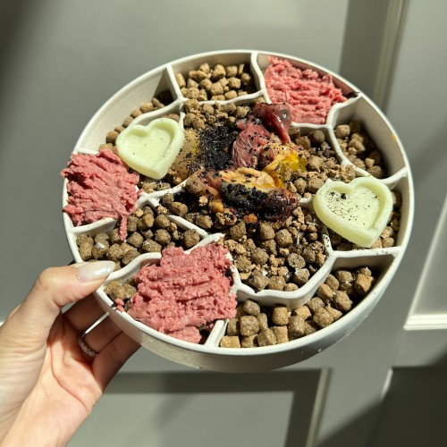 Mixing raw on sale food with kibble