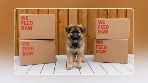 Blog Template-puppy(1)
