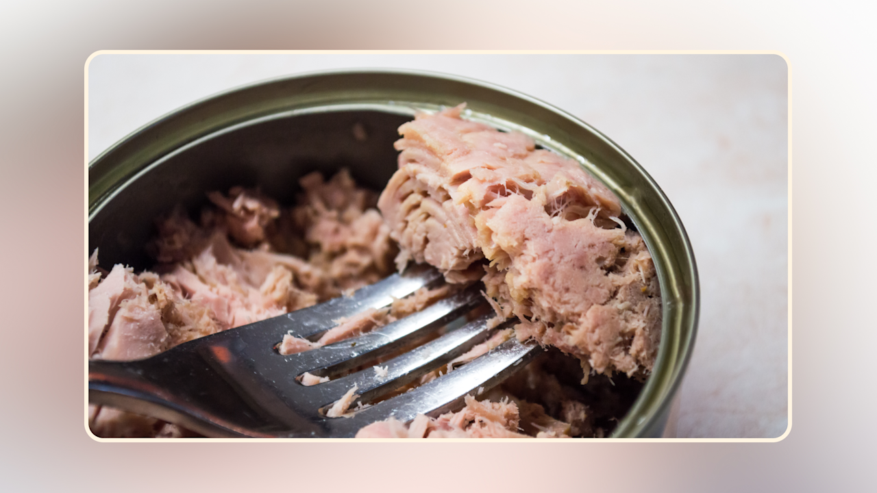 Hero Can Dogs Eat Tuna v4
