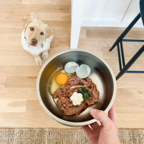 Dog and Raw Food Bowl
