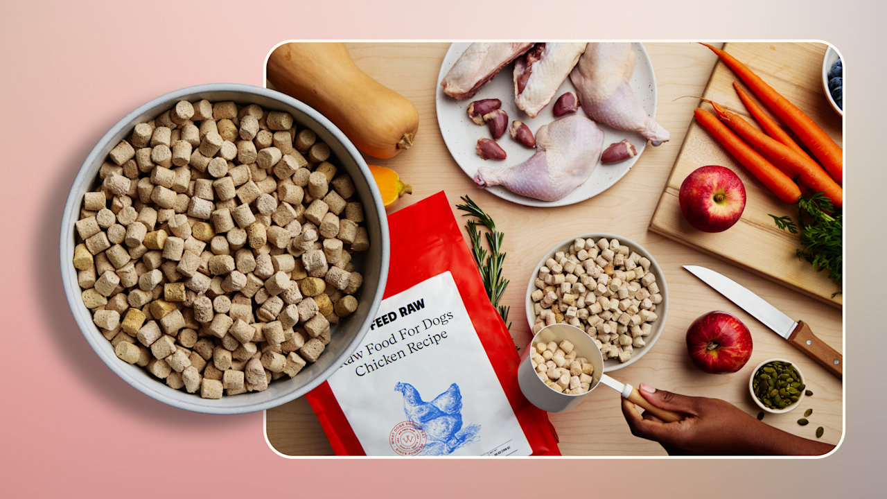 Hero What Raw Foods Can Dogs Eat v2