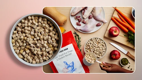 Hero What Raw Foods Can Dogs Eat v2