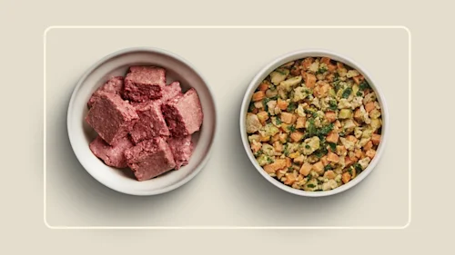 WFR we feed raw vs vs nomnom