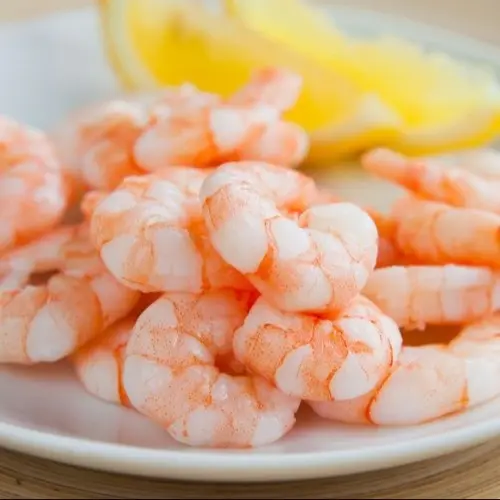 Shrimp for dogs