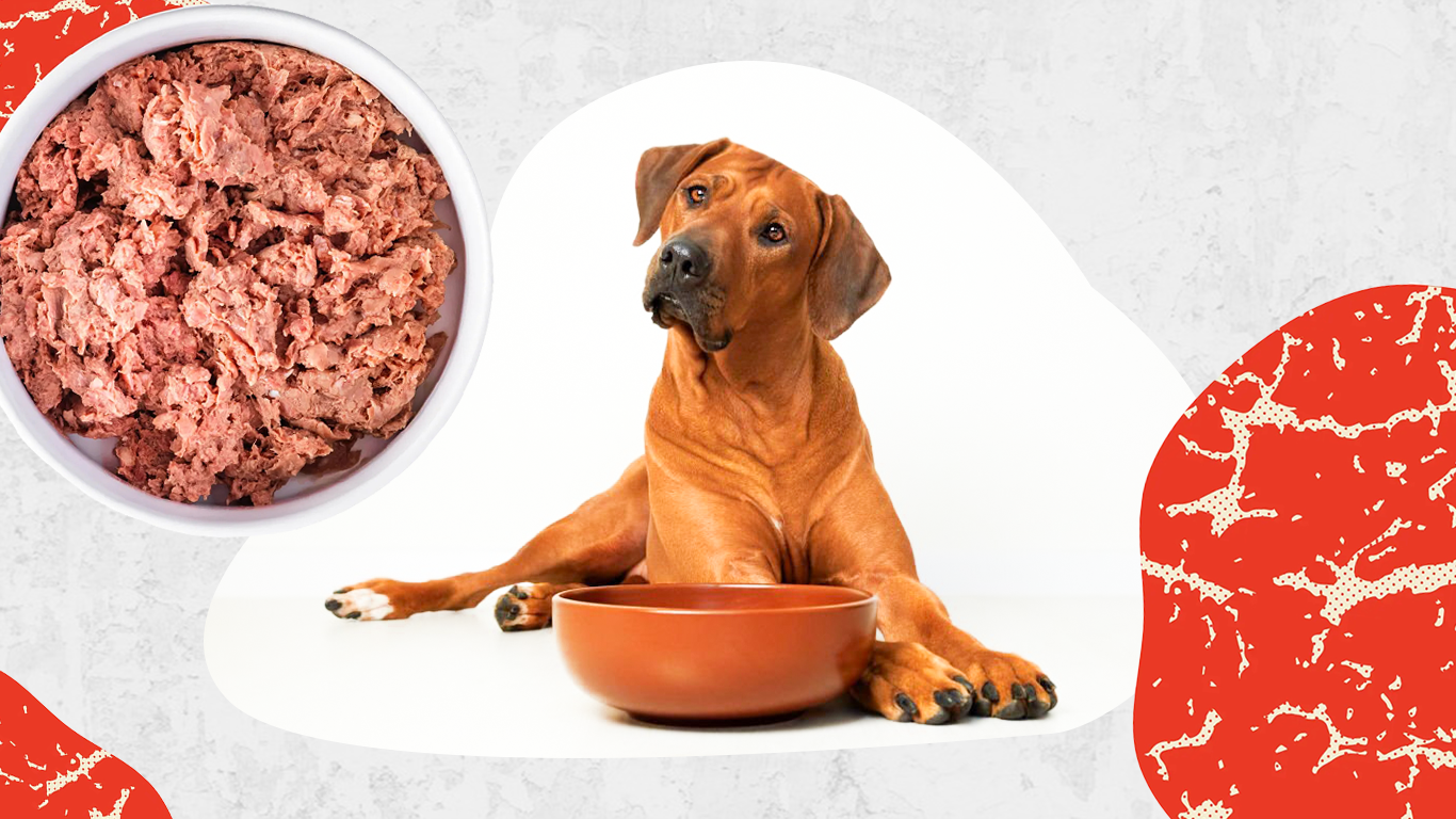 Dogs choice outlet raw dog food