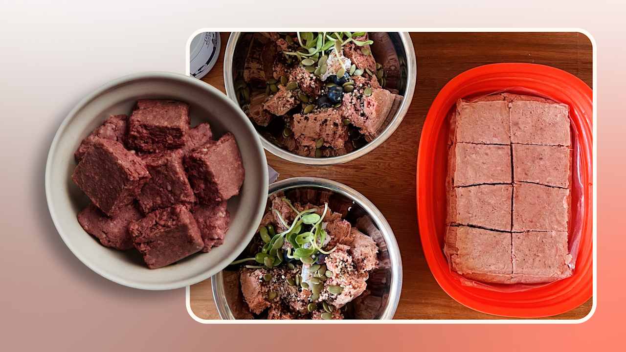 Hero Creating Raw Dog Food Meals and Benefits v2