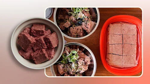 Hero Creating Raw Dog Food Meals and Benefits v2