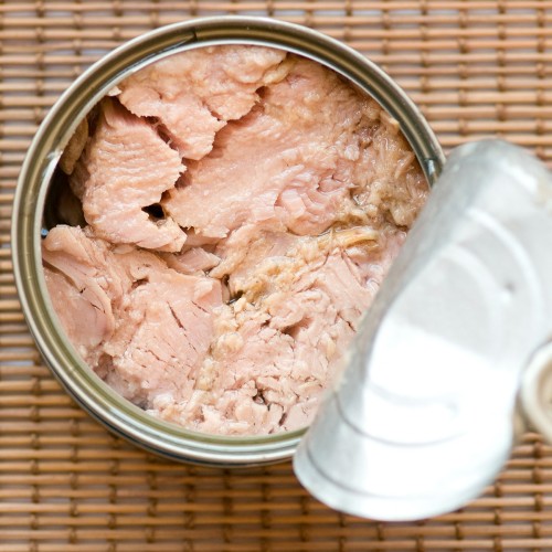 Canned light Tuna