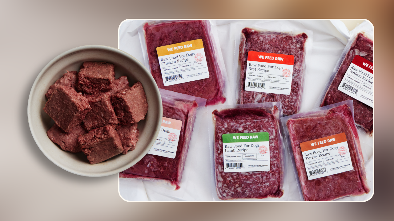 is raw dog food safe v2