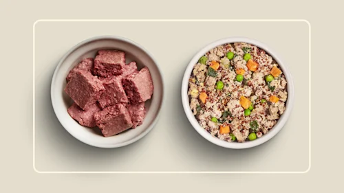 WFR we feed raw vs vs spot and tango 1