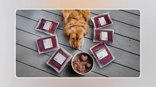 Hero best raw food diet for dogs v1