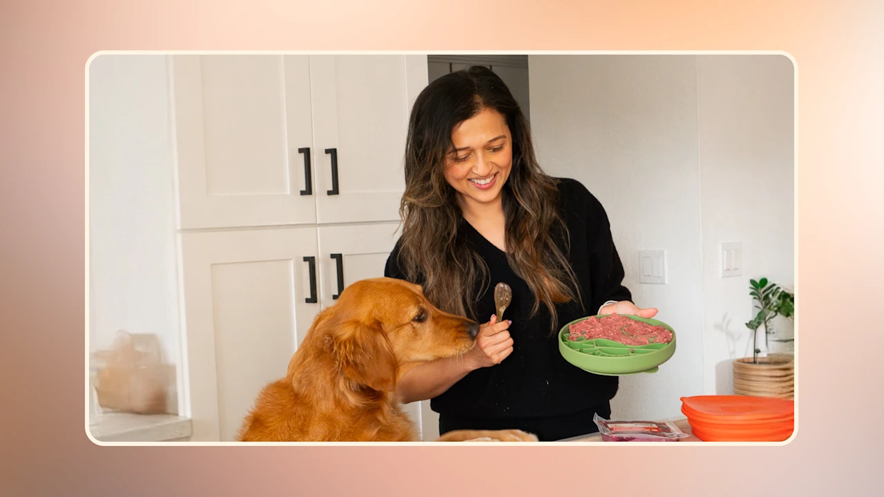 Where to Buy Raw Dog Food Near Me v1