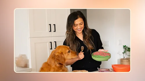 Where to Buy Raw Dog Food Near Me v1