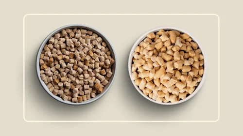 WFR we feed raw vs vs drmartys