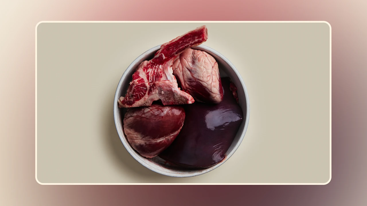 Hero The Nutritional Powerhouse of Organ Meat for Dogs An In-Depth Guide v2