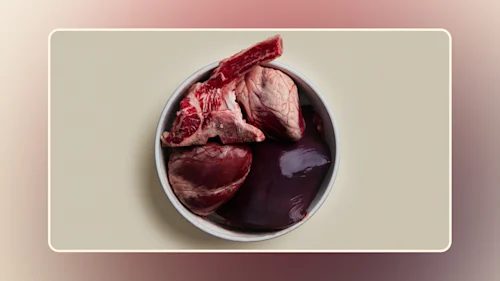 Hero The Nutritional Powerhouse of Organ Meat for Dogs An In-Depth Guide v2