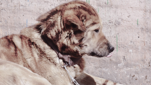 Blog Banner v7