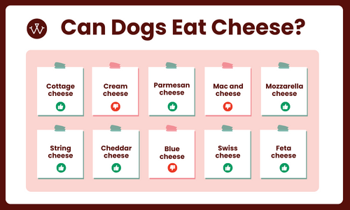 Can Dogs Have Feta Cheese?: Uncovering the Truth