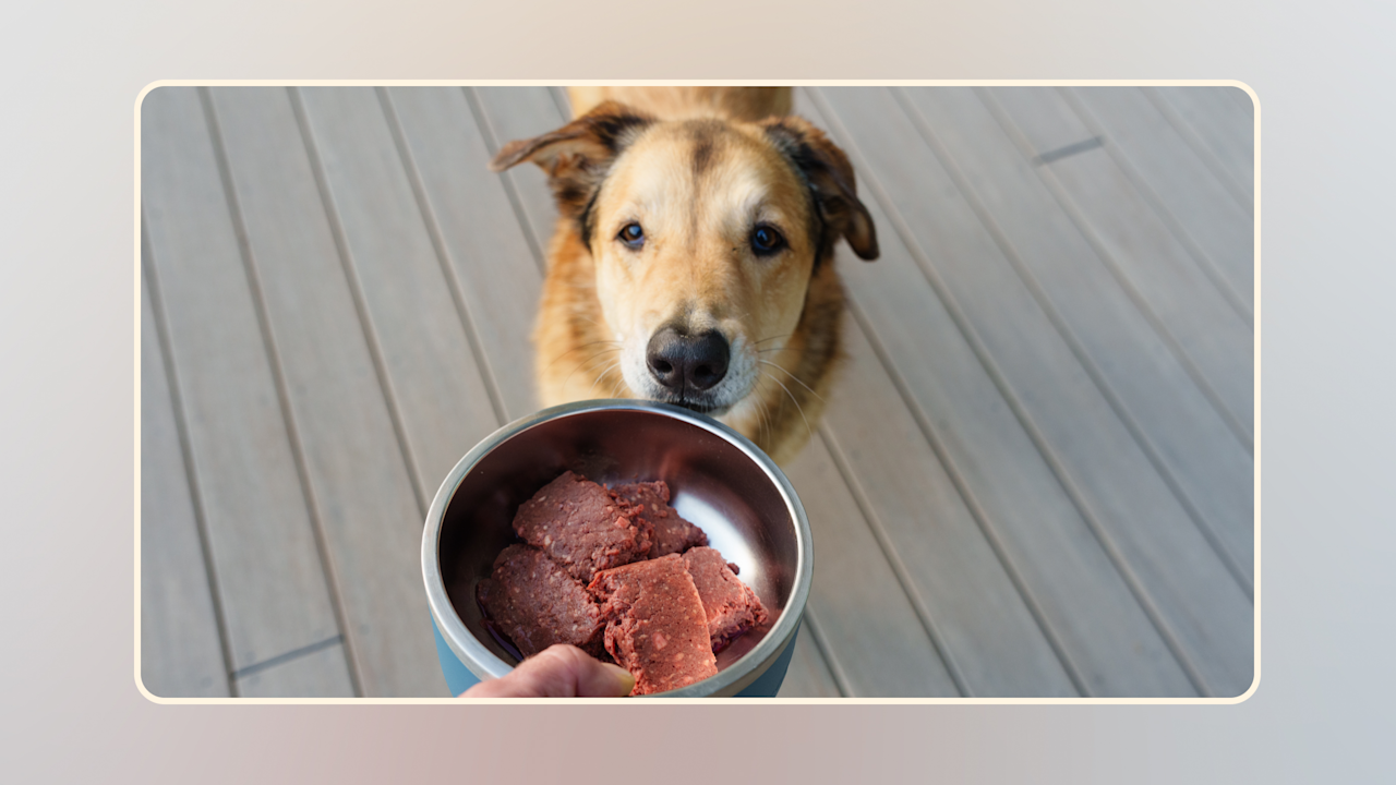 Hero Raw Diet Revelation v2