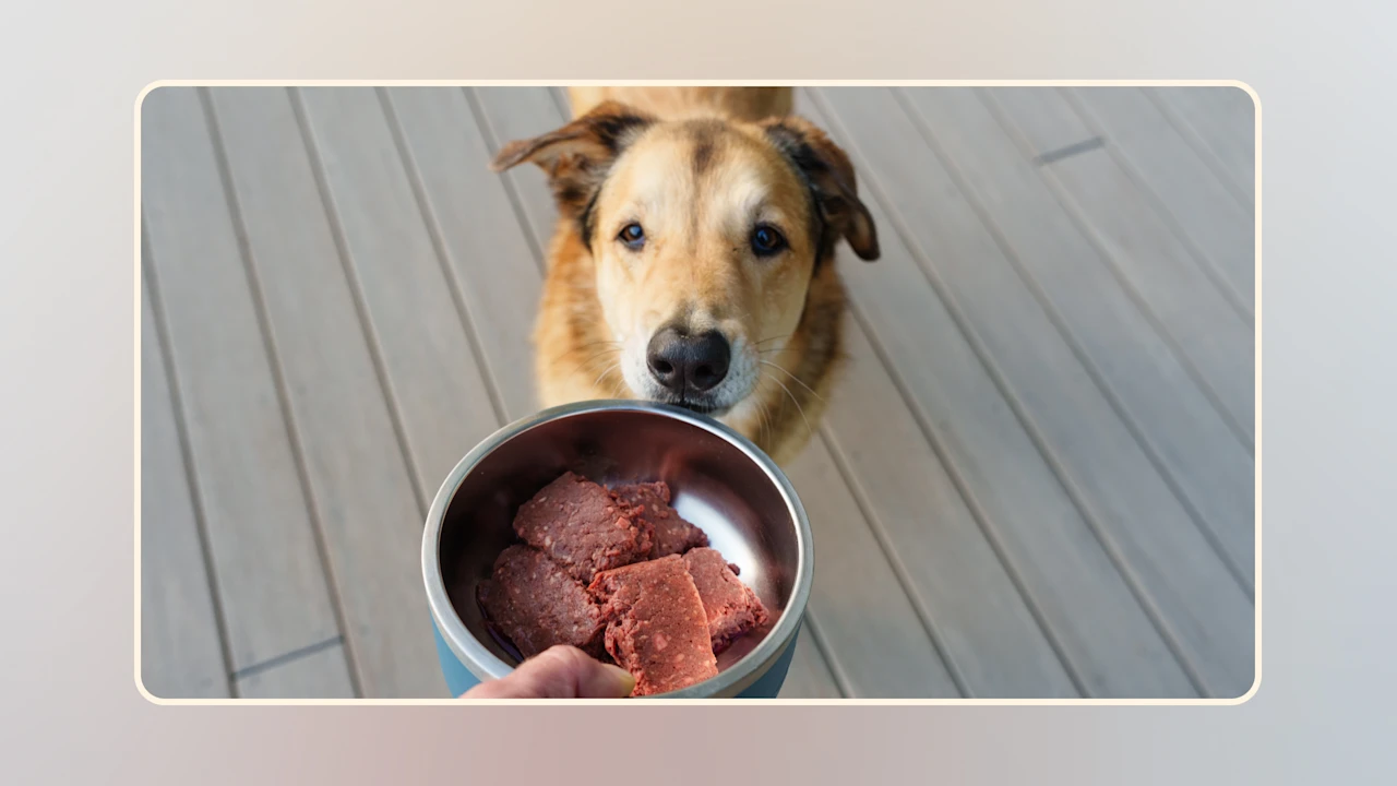 Hero Raw Diet Revelation v2