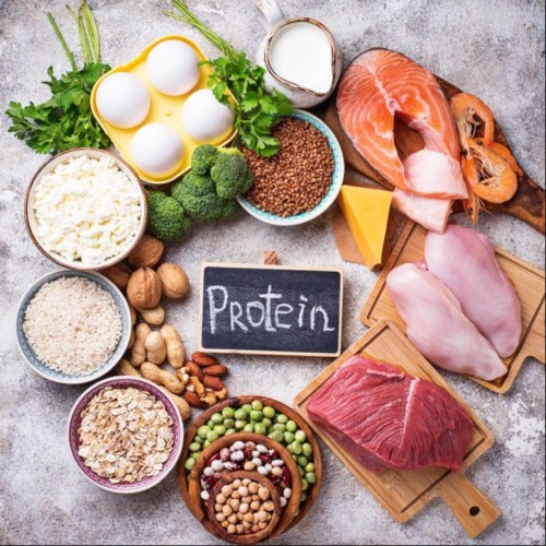 Foods-Rich-in-Protein