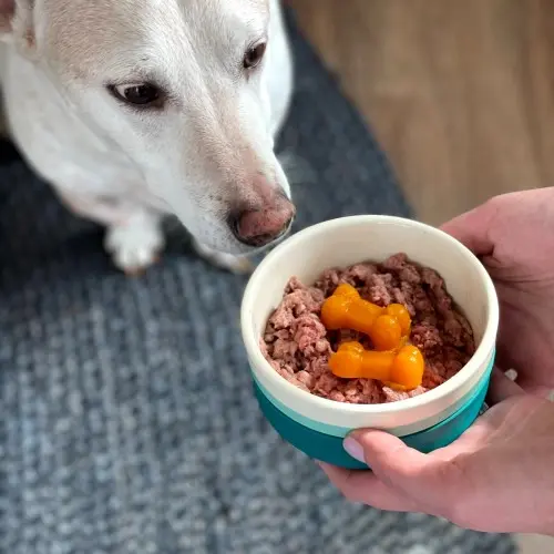 Raw Dog Food