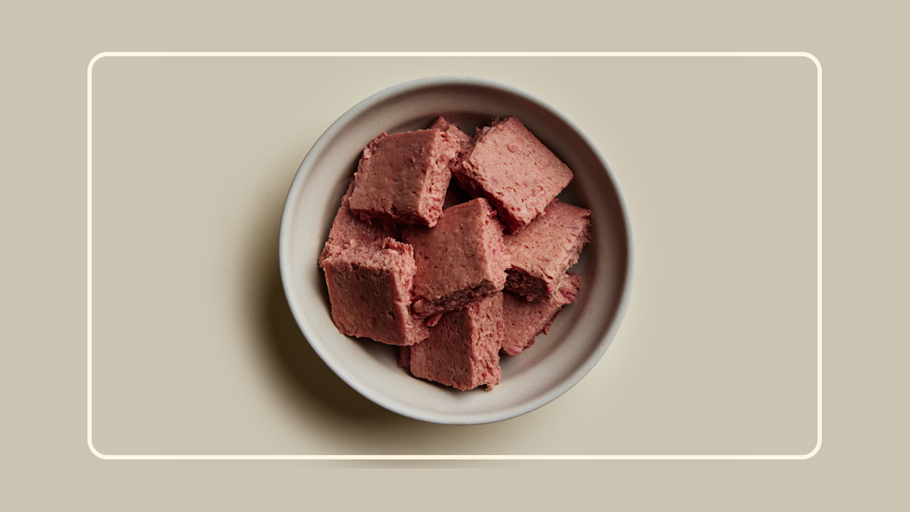 Hero Choosing the Best Raw Dog Food Safety & Quality First v2