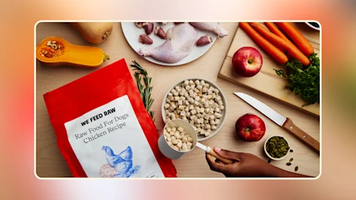 freeze dried raw dog food safety v1