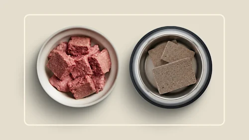 WFR we feed raw vs primal