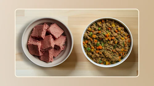Raw vs. Cooked Dog Food v1