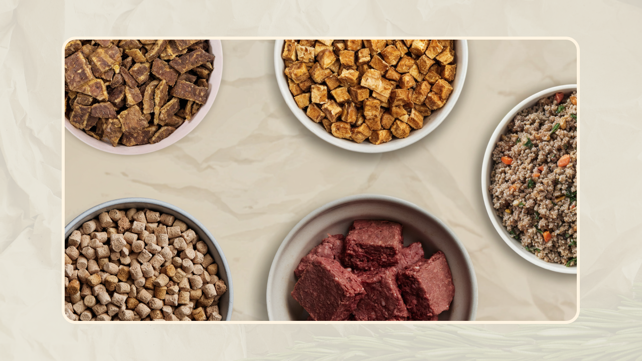 A Guide to the Best Fresh Dog Food