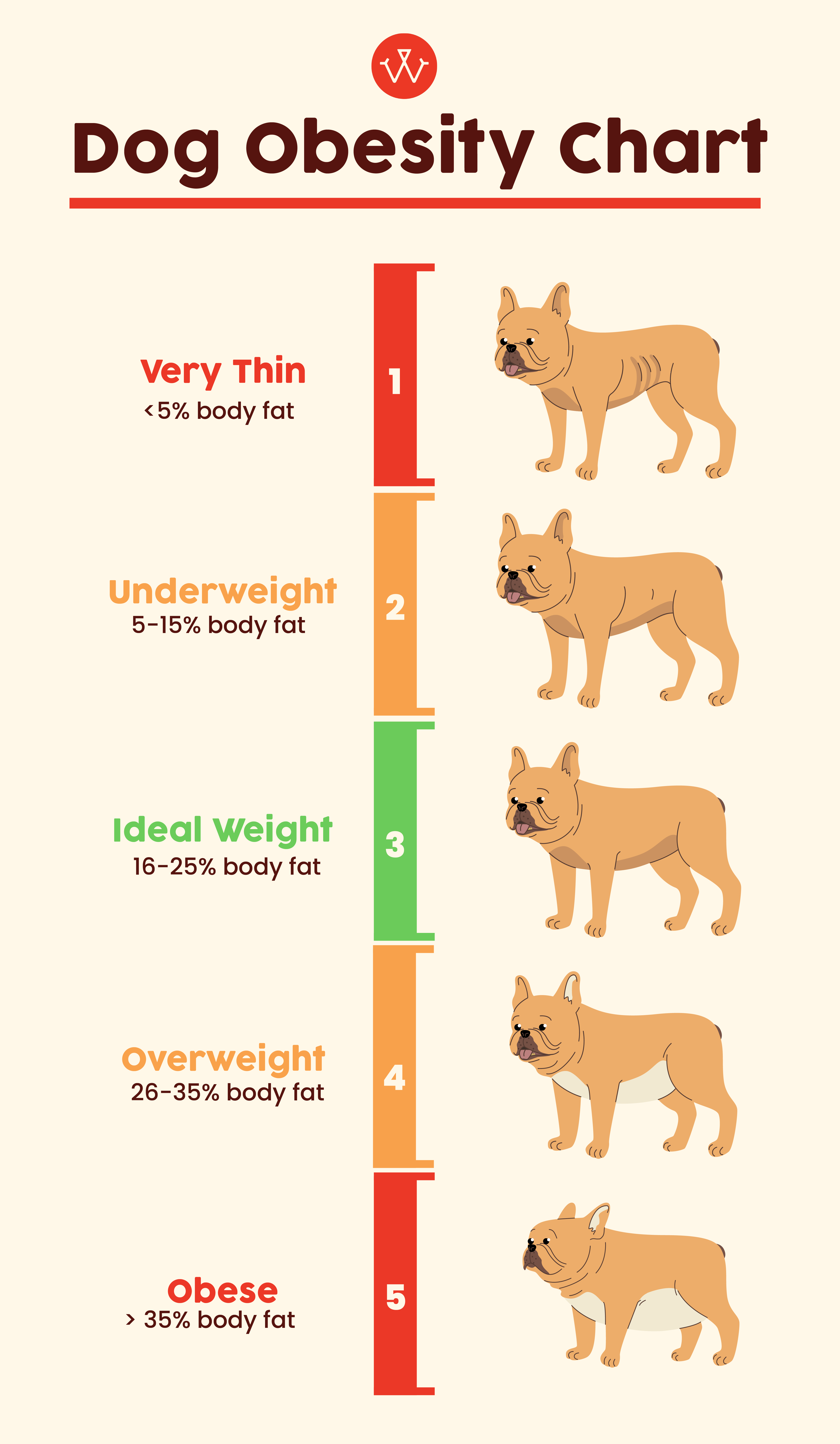 How to Determine Your Dog's Ideal Weight
