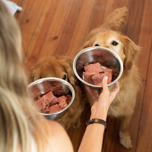 We Feed Raw Goldens
