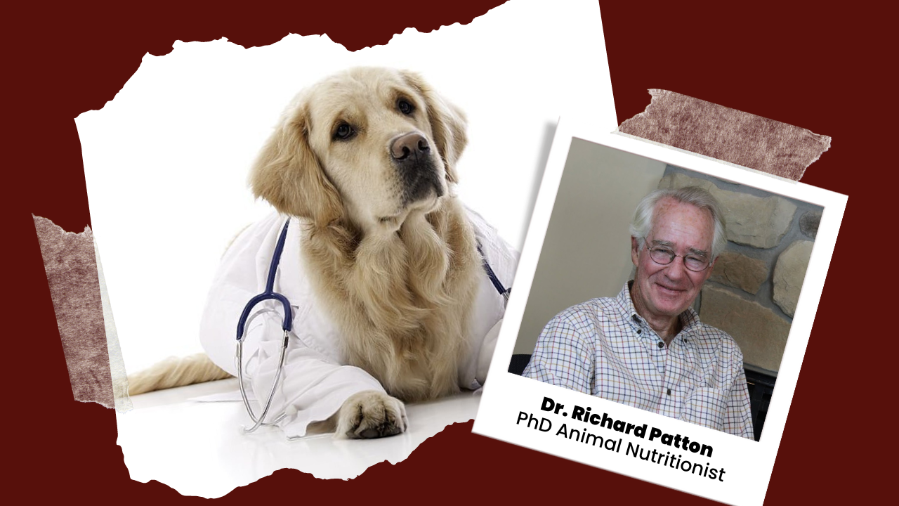 Dr. Richard Patton banner