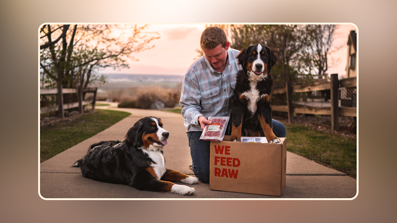 Hero Fresh Dog Food Delivered Healthy Meals for Your Pet v1