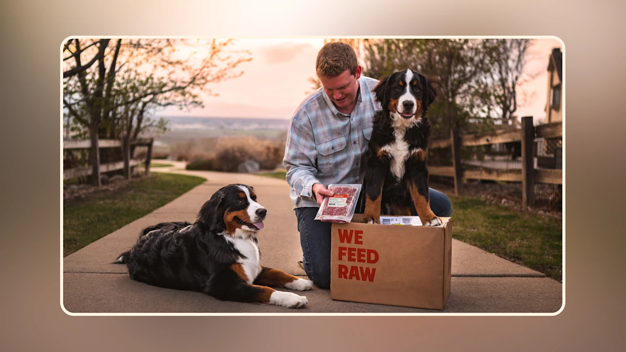 Hero Fresh Dog Food Delivered Healthy Meals for Your Pet v1