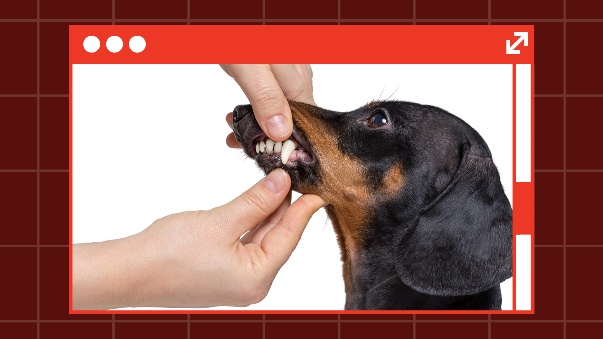 Dental Health Month