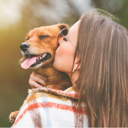 woman-kissing-dog-dog-owner-together-outdoors-love-animals 265657-448