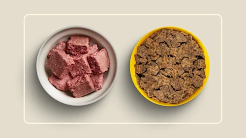 WFR we feed raw vs sundays 1