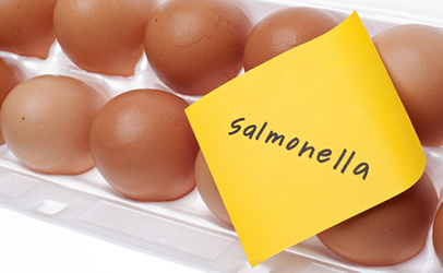 Raw Eggs and Salmonella