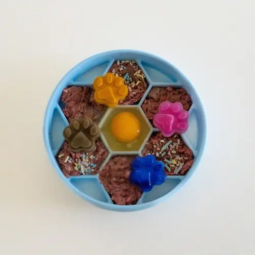Pupcicle Bowl