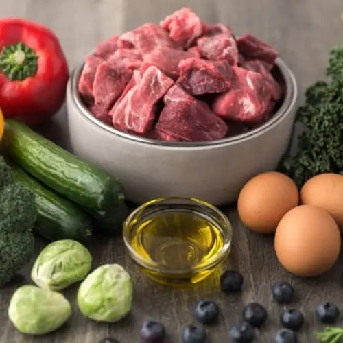 Dog Food Ingredients 
