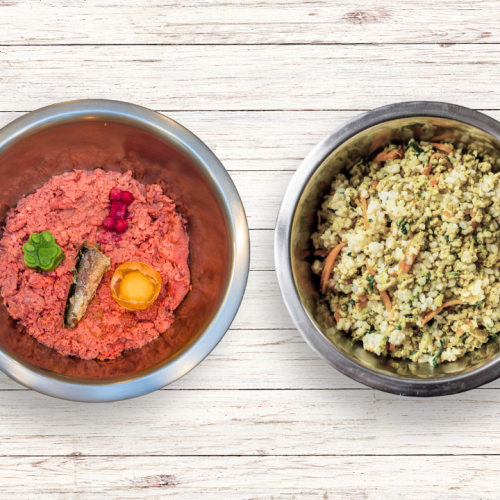 Cooked Vs. Raw Diet
